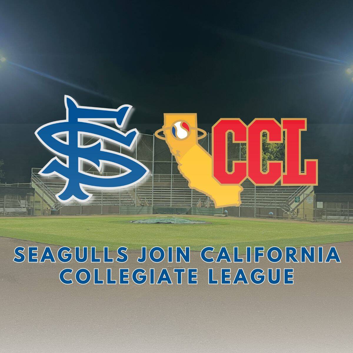 San Francisco Seagulls Join Prestigious California Collegiate League ...